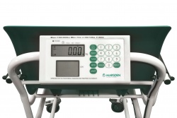 Marsden M-200 Chair Scale